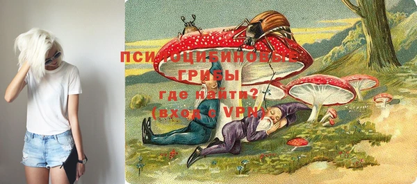 мдма Богданович