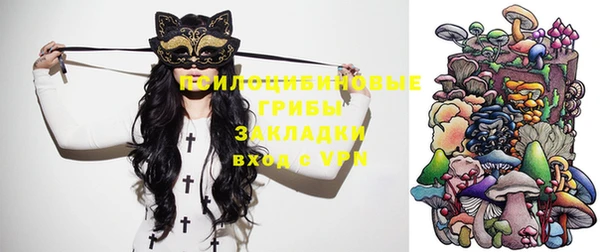 мдма Богданович